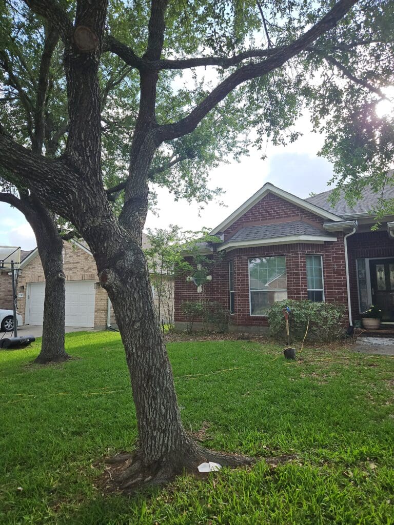 Foundation repair job in League City, TX