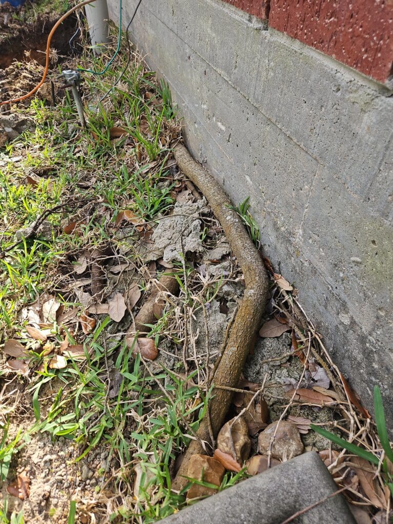 Foundation repair root growth in League City, TX