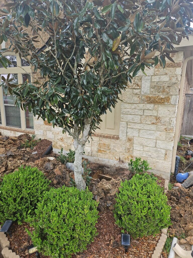 Garden carefully preserved after a top-rated foundation repair in Pearland Texas